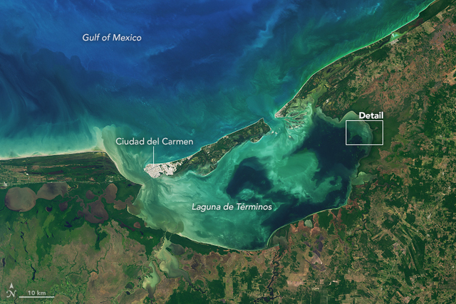 Después de una emboscada continuaron su camino hacia Champotón y encontraron una laguna la cual bautizaron como laguna de terminos