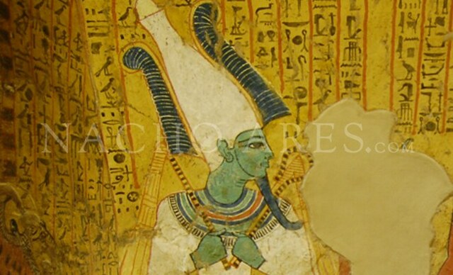 Primer manual de Etiqueta