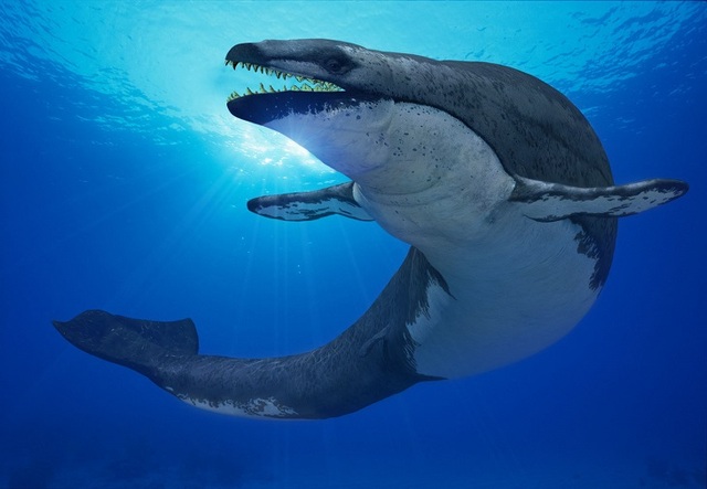 Basilosaurus (Hace 36 millones de años)