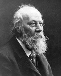 Rickert: Ciencia cultural y ciencia natural