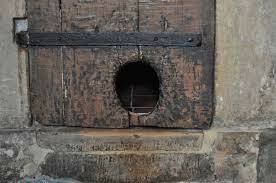 Puertas para mascotas