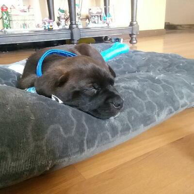 Timeline: Imperialism Timeline