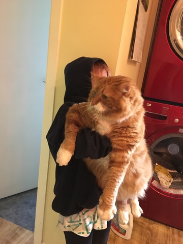 Une nouveau membre dans la famille