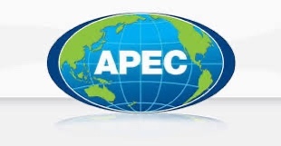 Marco de Privacidad del Foro de Cooperación Económica Asia Pacífico (APEC).