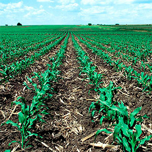 Servicio de Conservación de Tierras