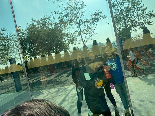 Proyecto de química (Shampoo ecológico)