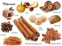 Apa Tujuan Portugis Dan Spanyol Datang Ke Indonesia?