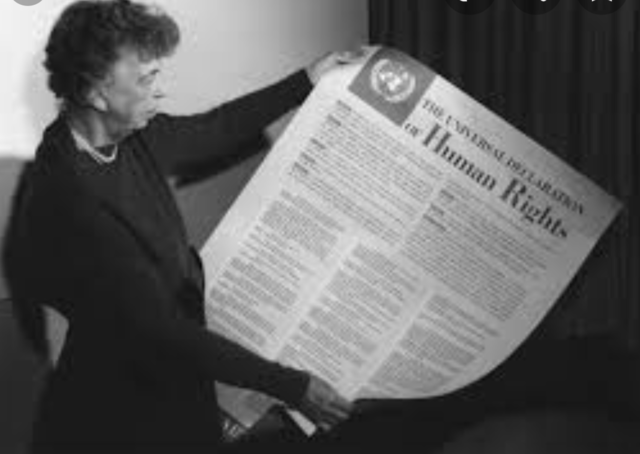 Declaración Universal de los Derechos Humanos Artículo 12