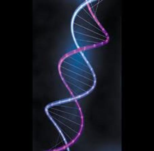 James Watson and Francis Crick discover the DNA double helix