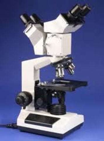 Anton Van Leeuwenhoek constructed the first high-powered microscope