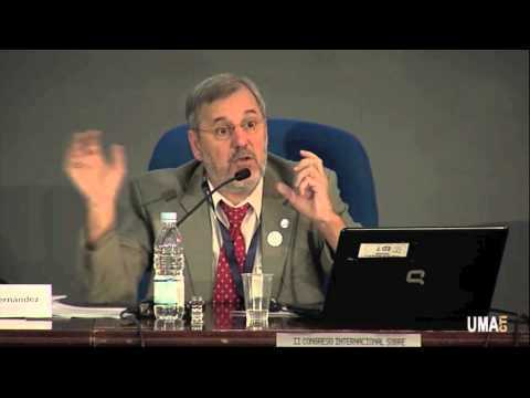 José Tejada Fernandez