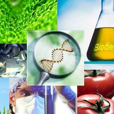 Timeline: Biotecnología alimentaria