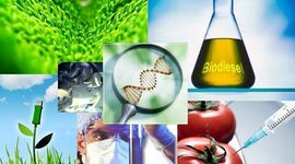 Timeline: Biotecnología alimentaria