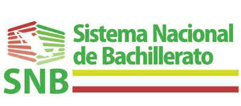 Acuerdo secretarial 480.