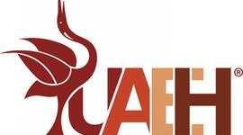 Timeline: Fundamentos de la Investigación