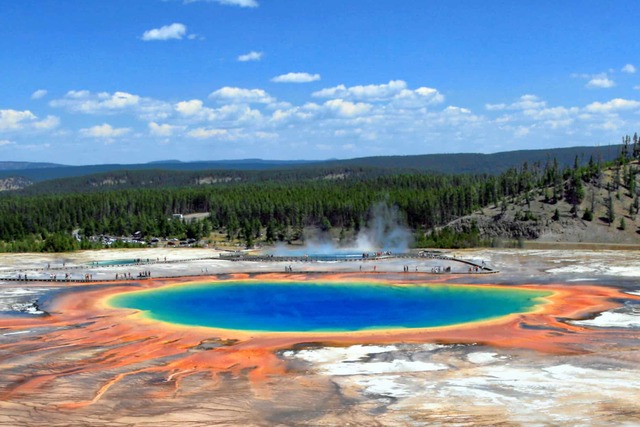 Teoría de la sopa o caldo primordial