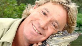 Timeline: Steve Irwin