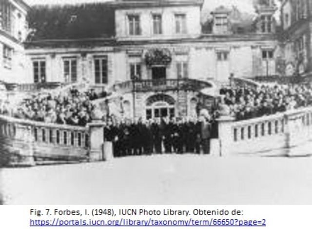 Se crea la unión internacional provisional para la protección de la naturaleza.