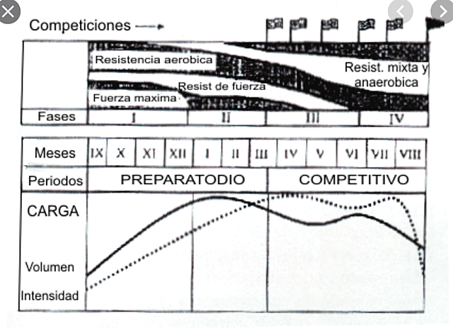 Estructura Cíclica Matveiev (1984)