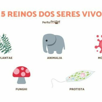 Timeline: Clasificación de los seres vivos