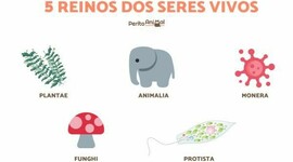 Timeline: Clasificación de los seres vivos