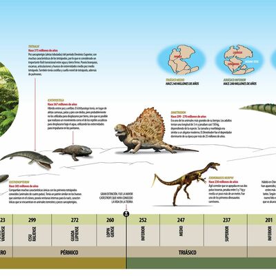 Timeline: "EVOLUCION DE LA VIDA EN LA TIERRA"