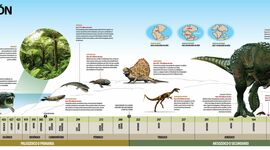 Timeline: "EVOLUCION DE LA VIDA EN LA TIERRA"