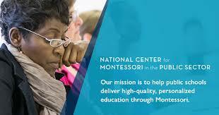 Creation of National Council of Montessori in the Public Sector.