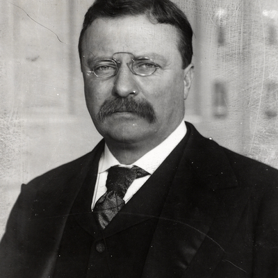 Timeline: Teddy Roosevelt Timeline Project
