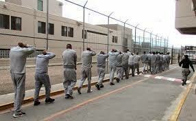 Etapa de readaptación