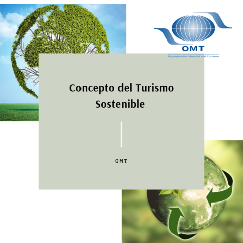 Organización Mundial de Turismo (OMT)