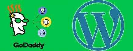 nacen los WEBLOG y GODADDY