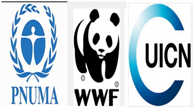 Estrategia Mundial para la Conservación