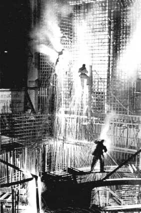 La primera Conferencia Mundial de la Industria sobre la Ordenación del Medio Ambiente (WICEM),