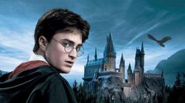 Timeline: Harry Potter