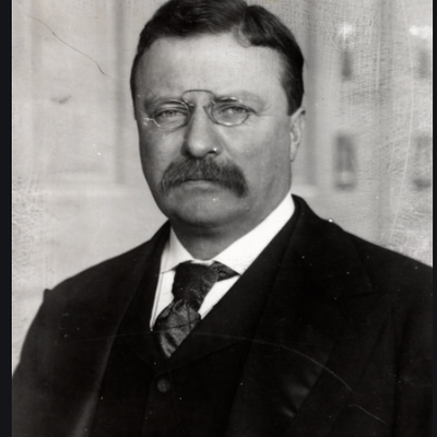 Timeline: Teddy Roosevelt Timeline Project