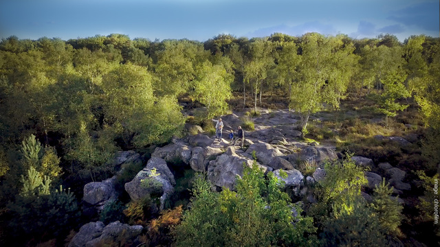 Bosque de Fontainebleau