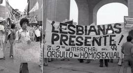 Timeline: Delgado Ortega Nahomi SOfia_404_Timeline_ lgbt community