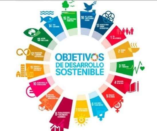 Objetivos de desarrollo sostenible (ODS)