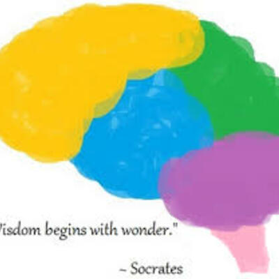 Timeline: Psychology writing assignment