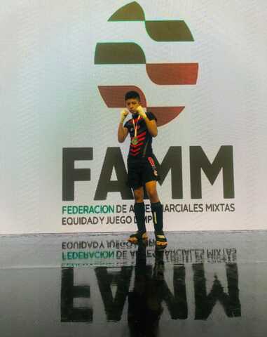 FAMM (Federación de Artes Marciales Mixtas)