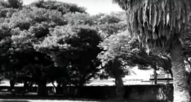 Compra de terreno por el arzobispo