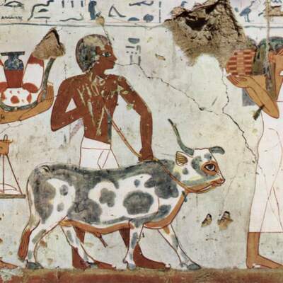 Timeline: Historia de la Bioestadística