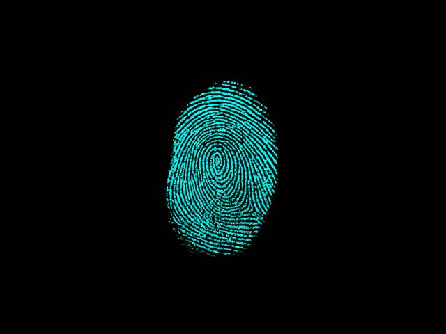 Fingerprints