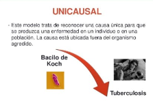 Modelo unicausal