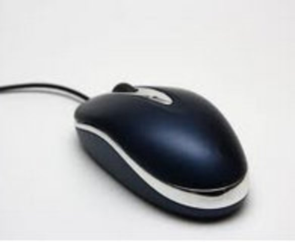 computer mouse