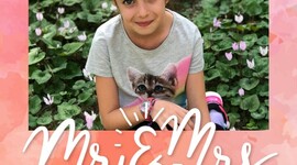 Timeline: ציר הזמן שלי