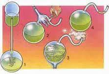 Experimento de Pasteur