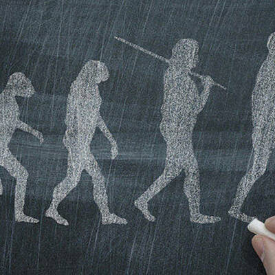 Timeline: Evolución Humana