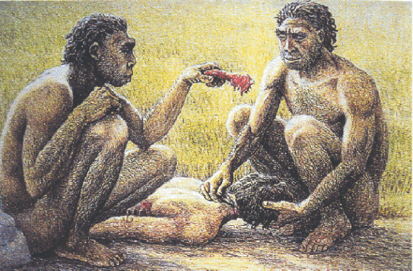 Homo Antecessor